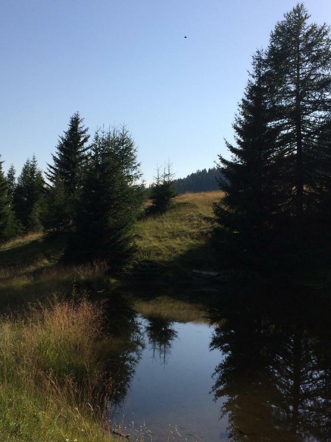 Schusternagele Amlach (Lienz)