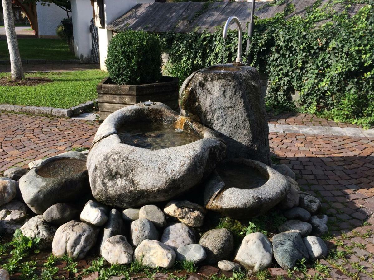 Schusternagele *