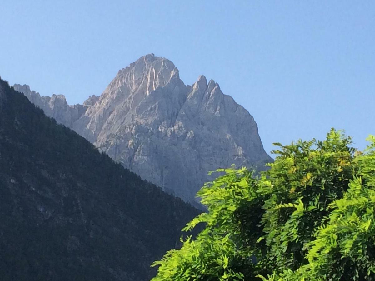 Schusternagele * Amlach (Lienz)